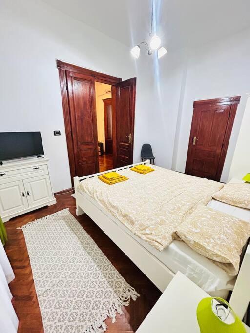 Hidden Gem In The Old Town Apartment Timisoara Ngoại thất bức ảnh