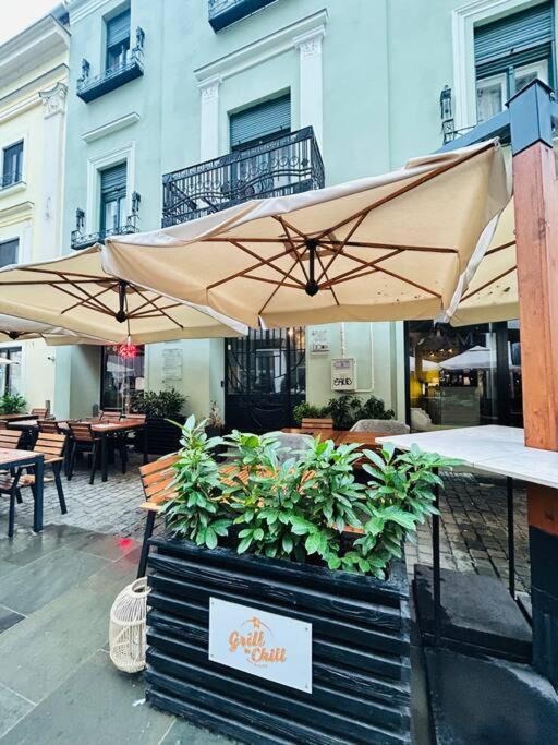 Hidden Gem In The Old Town Apartment Timisoara Ngoại thất bức ảnh