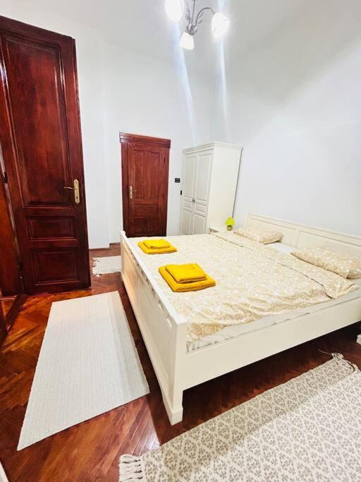 Hidden Gem In The Old Town Apartment Timisoara Ngoại thất bức ảnh