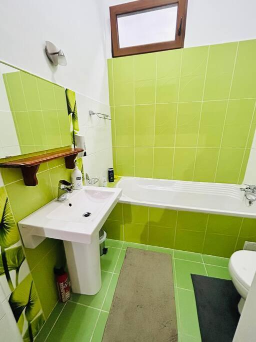 Hidden Gem In The Old Town Apartment Timisoara Ngoại thất bức ảnh